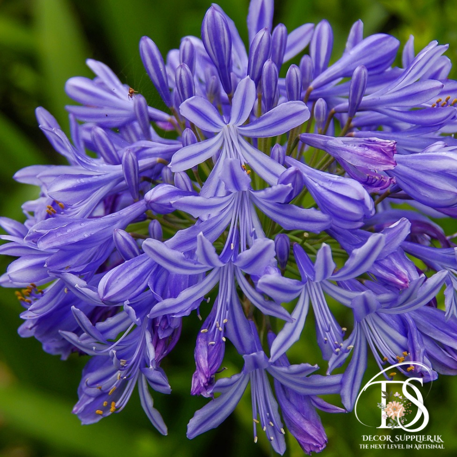 A New Design - Made with PosterMyWall (44)