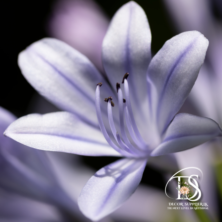 A New Design - Made with PosterMyWall (45)