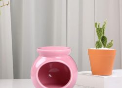 61HaMTcxy2L._AC_SX679_