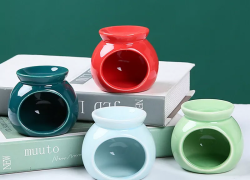 dsgsdghsddgsdsdgjksg